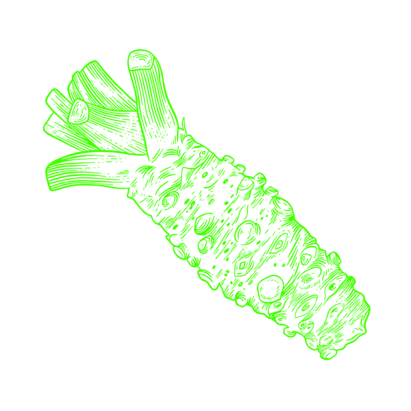 Ontwerp zonder titel-2