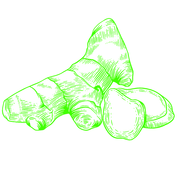 Ontwerp zonder titel